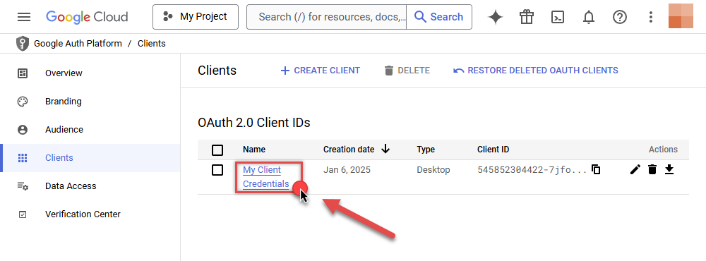 View app client credentials in Google Cloud