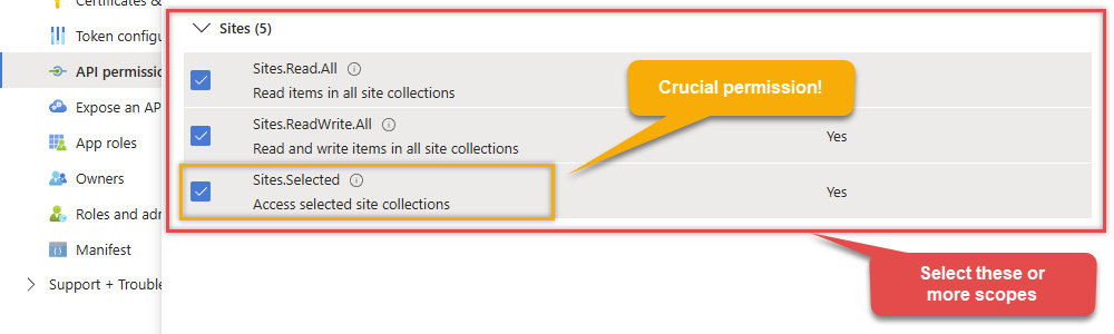 Select SharePoint Online application scopes