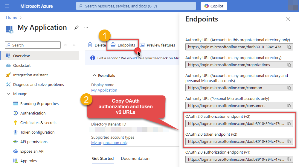 Copy Auth and Token URLs in Microsoft Entra ID app