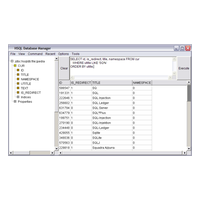 HSQLDB Connector