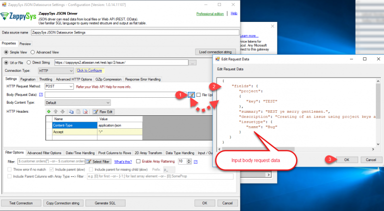 odbc-Issue Input Data