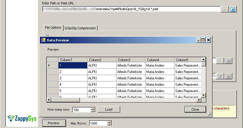 SSIS Amazon S3 JSON File Source - Design time data preview