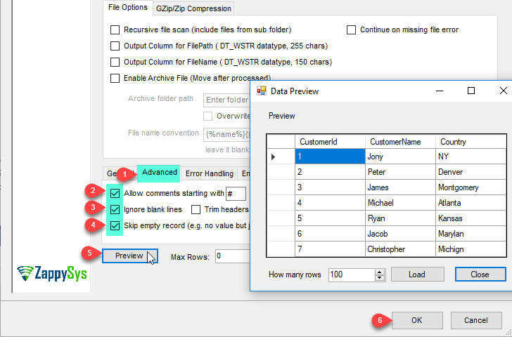 SSIS CSV Source (Web API or File) - Configure